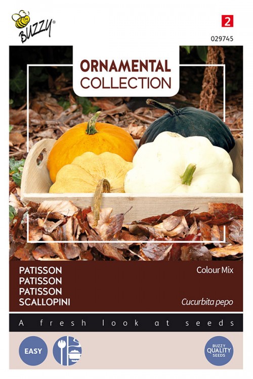 Patisson mixed colours summer squash seeds