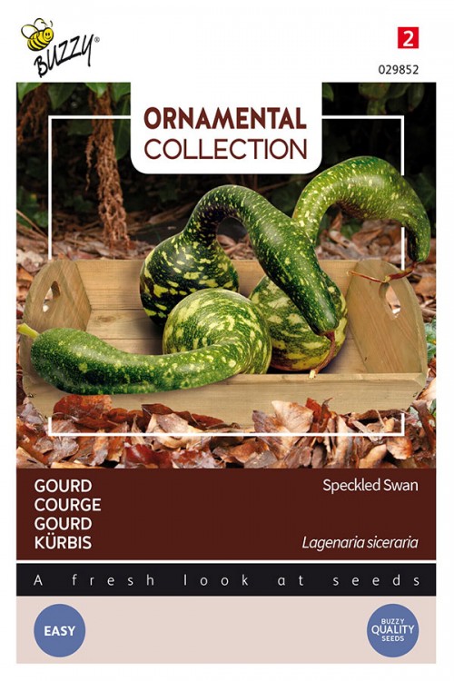Speckled Swan Ornamental Gourd seeds