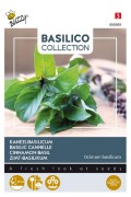 Kaneel Canella Basilicum - Arabische Basilicum zaden