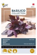 Violetto Aromatico - Dark Opal Basilicum zaden