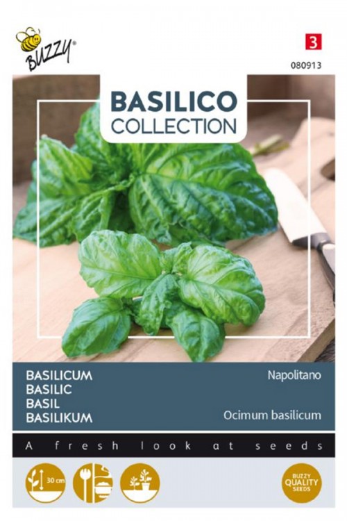 Napolitano Basil - Lettuce Leaf Sweet Basil seeds