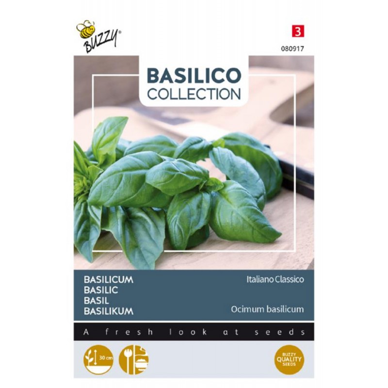 Basilic Italien Classic Bio