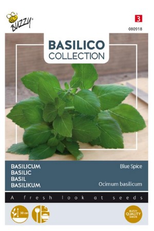 Blue Spice Basilicum