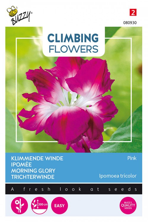 Double Pink Morning Glory Ipomoea nil seeds
