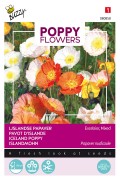 Iceland poppy - Papaver nudicaule seeds