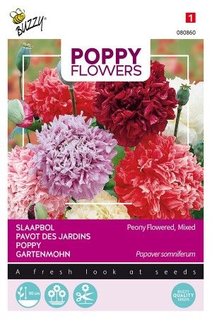 Paeony Flowers Papaver...
