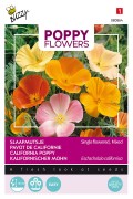 Single Californian Poppy - Eschscholzia californica seeds