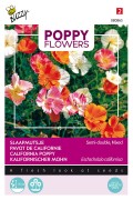 Double Californian Poppy Eschscholzia seeds