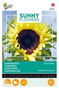 Moonwalker Sunflower Helianthus seeds