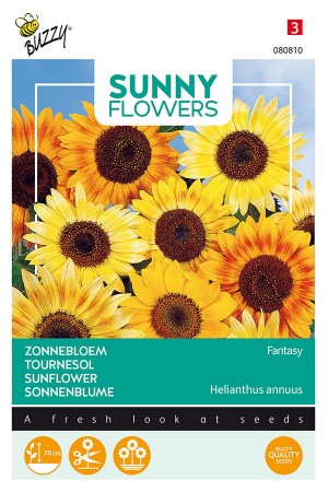 Fantasy Sunflower Helianthus seeds