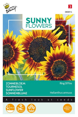 Ring of Fire Sunflower Helianthus seeds