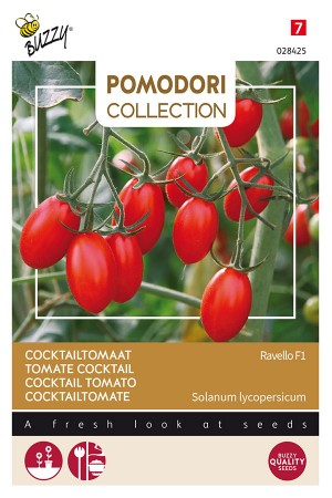 Ravello F1cocktail tomato...