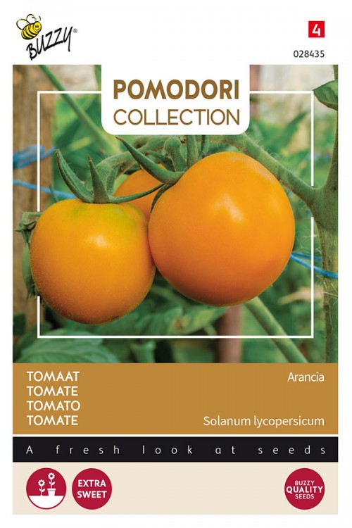 Arancia Zloty Ozarowski tomato seeds