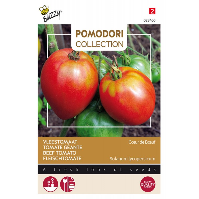 OxHeart Beef Tomatoes Vegetable seeds • Tuinzaden.eu