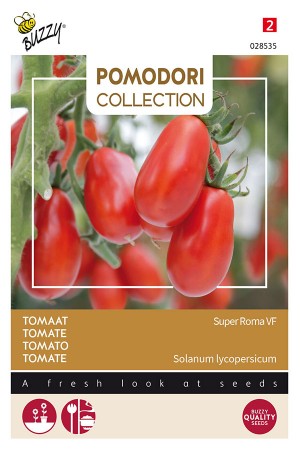 Super Roma VF Tomato seeds