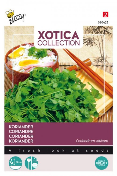 Coriander Cilantro seeds