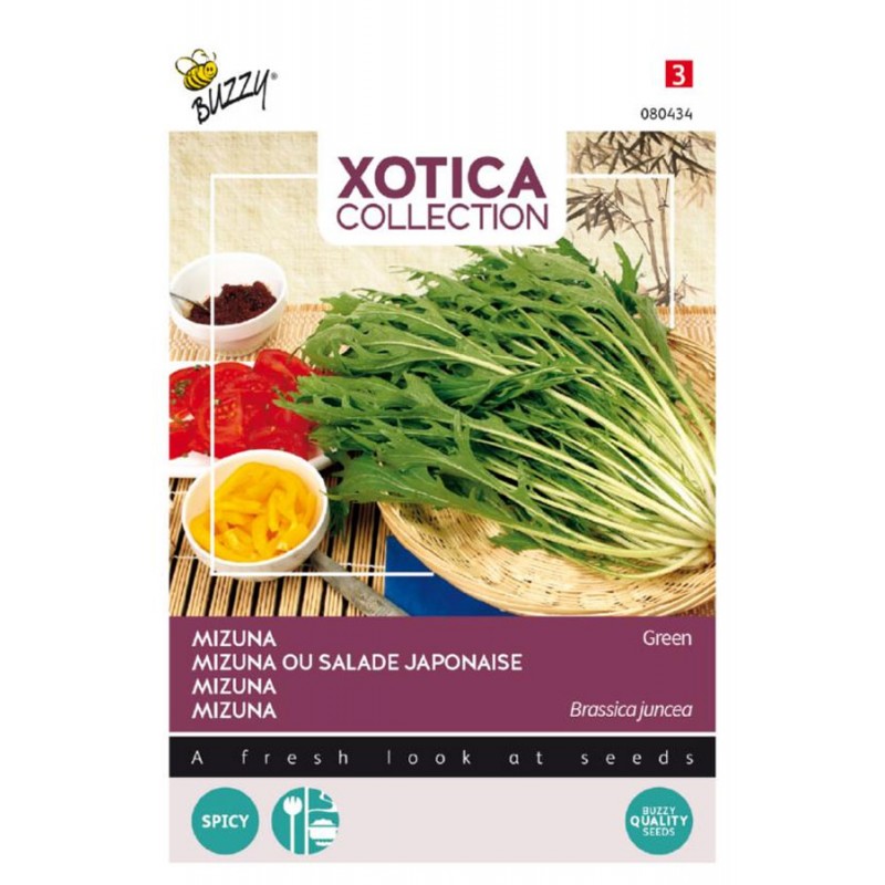 Japanese Salad Mizuna Vegetable seeds • Tuinzaden.eu