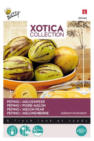 Pepino - Meloenpeer