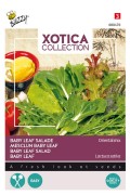 Salade Oriental - Baby Leaf Mix