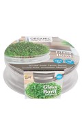Sprouting grow kit bowl + sowing grid