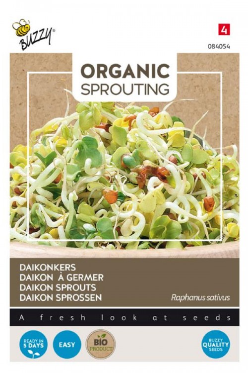 Daikon Radish Organic Sprouting seeds