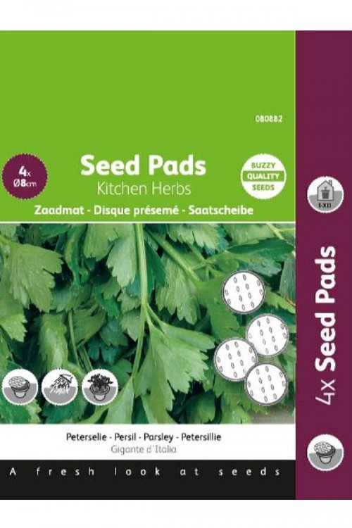 Parsley Gigante d'Italia seeds - Seedpads