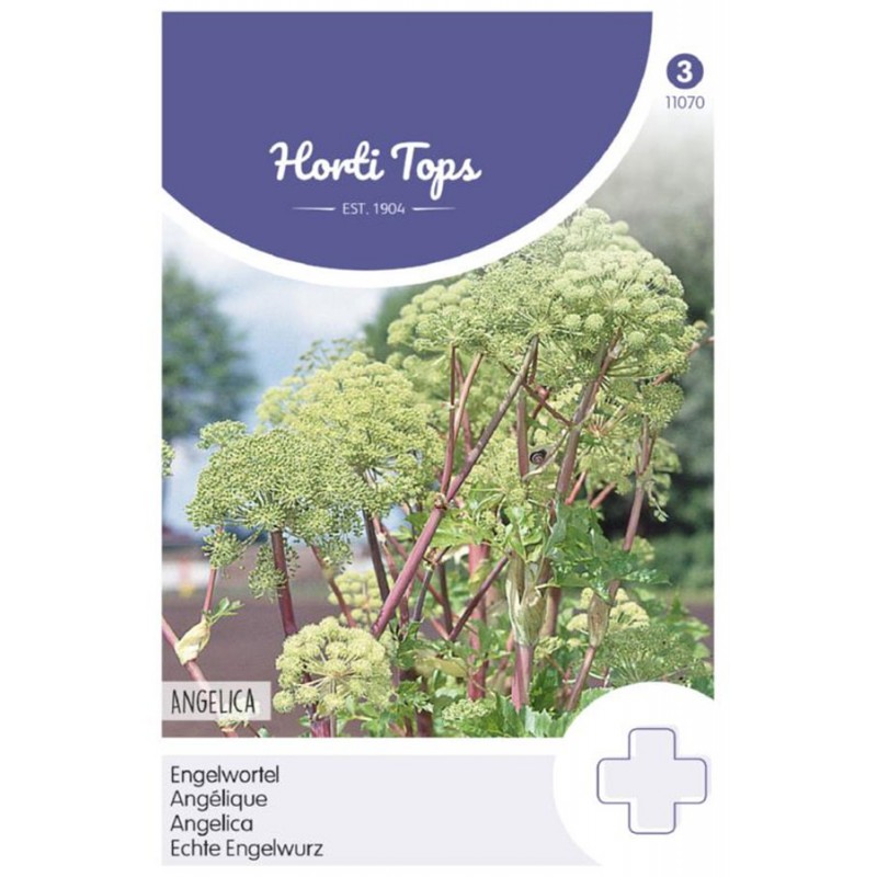 Seeds of Light ヒーリングワンド大【Angelica】 1465227035089_angelicarhs__882