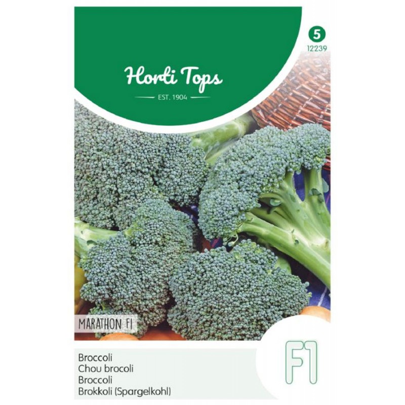Marathon F1 Broccoli zaden Zaden kopen? Tuinzaden.eu
