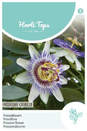 Blue Passion - Flower seeds