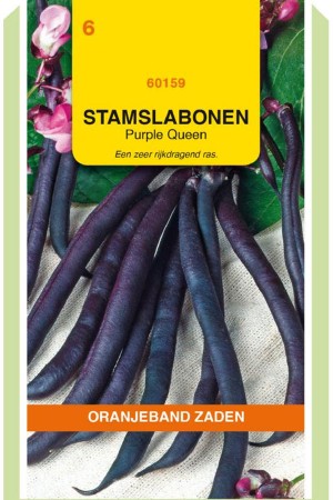 Purple Queen dwarf green beans seeds
