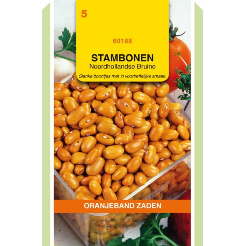 Noordhollandse Brown Dry beans seeds Borlotto Seeds • Tuinzaden.eu