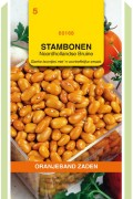 Noordhollandse Brown Dry beans seeds