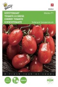 Modus F1 cherry tomato seeds