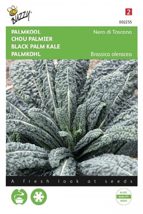 Nero di Toscana Black Palm Kale seeds