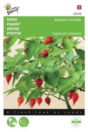 Biquinho - Pepper seeds