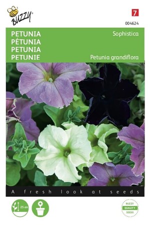 Sophistica gemengd - Petunia