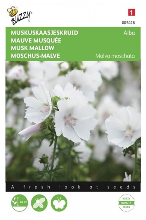 Musk Mallow Alba - Malva moschata seeds