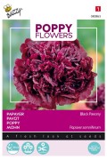 Black Paeony - Papaver somniferum zaden