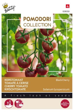 Black Cherry Tomato seeds