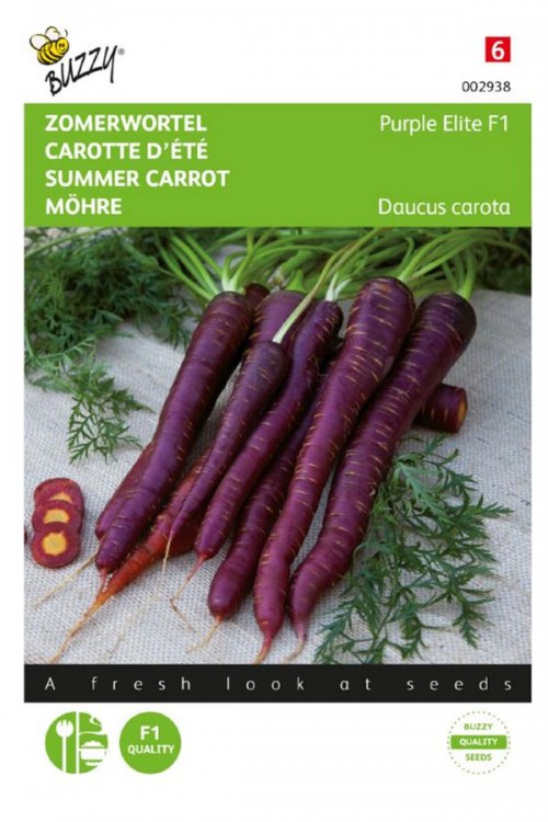 Purple Elite F1 - Summer Carrot
