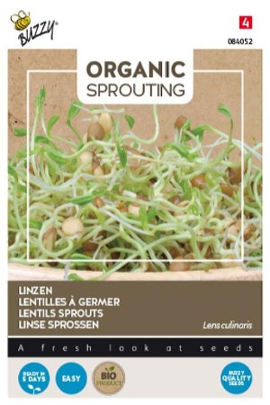 Lentils Organic Sprouting...