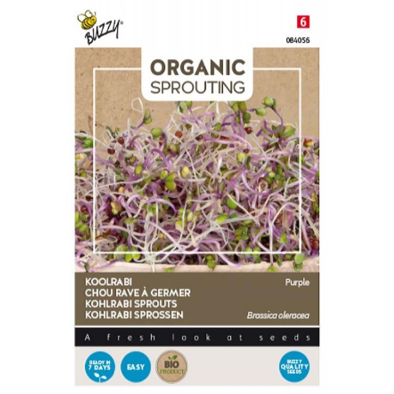 Vegetable seeds Flower seeds Organic seeds