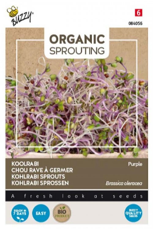 Kohlrabi purple Organic Sprouting seeds