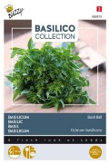 Greek Basil Bush Ball - Lettuce Leaf Sweet Basil seeds