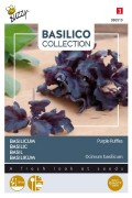 Purple Ruffles - Sweet basil seeds