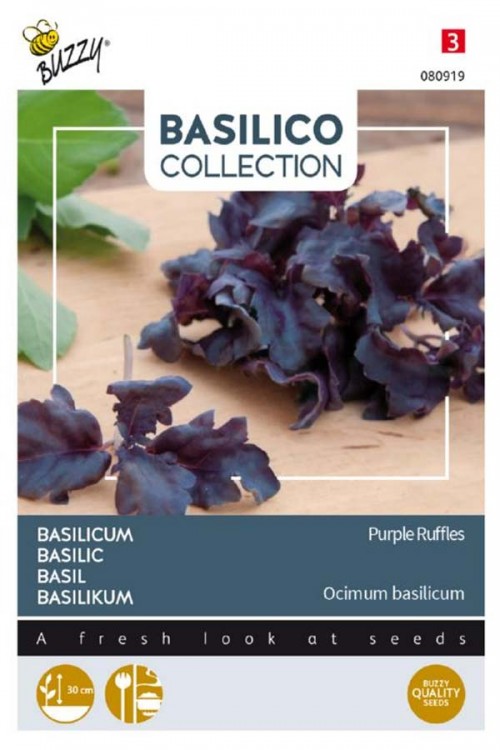 Purple Ruffles - Basilicum zaden