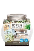 Kweekpot Salade kiemgroenten - spruitgroente