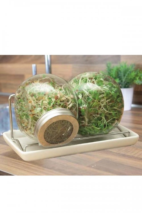 Kitchen Sprouts Duo set sprouting jar grow pot Growing kits