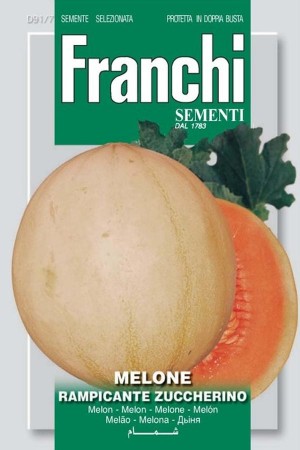 Rampicante Zuccherino - Meloen