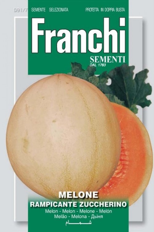 Rampicante Zuccherino - Melon